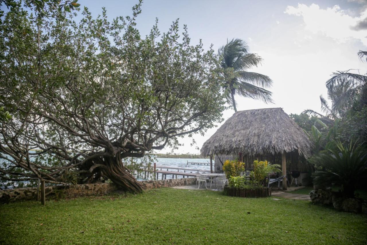 Lucia'S Lagoon House: Free Kayaks And Bikes Bacalar Exterior photo